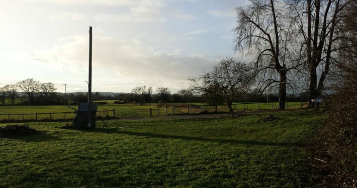 Cotheridge, large field, dim lighting, three large trees to the right of the field